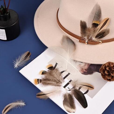 THARAHT 240pcs Mix Colour Eight Style Spotted Small Natural Bulk Feathers 2-6 Inches for for Sewing Crafts Clothing Jewelry Wedding Hair Hats Dream Catcher Decoration Guinea Fowl Feathers in Kuwait