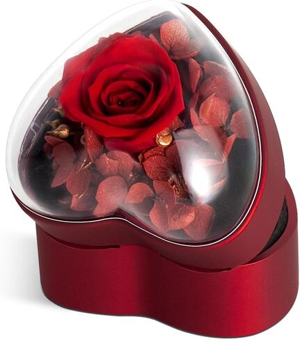 Engagement Ring Box for Proposal Promise, Eternal Flowers Rose Gifts for Valentines' Day, Heart Shaped Red Ring Box in Kuwait
