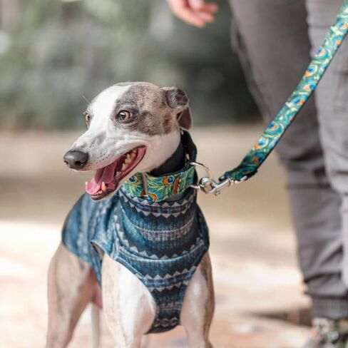 Acrylic Fleece Jumper for Greyhounds: Style, Warmth, and Comfort - Elegant Design Cold Protection - Ideal for Sighthounds - Ethnic, L in Kuwait