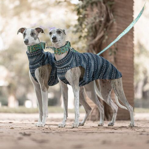 Acrylic Fleece Jumper for Greyhounds: Style, Warmth, and Comfort - Elegant Design Cold Protection - Ideal for Sighthounds - Ethnic, L in Kuwait