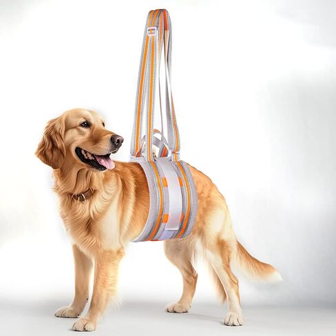Portable Dog Lift Harness,Dog Sling for Large Dogs Hind Leg Support,Reinforcement Against bunching,Suitable for 30-130 lbs Dogs with Weak Rear Legs, Helps Senior, Injured, Disabled,After ACL Surgery in Saudi Arabia