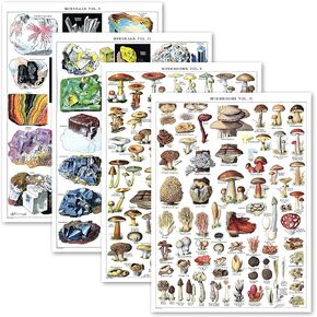 4 Pack - Vintage Mineral Poster Prints Vol 1 & 2 & Mushrooms Poster Prints Vol 1 & 2 - Geology & Mycology & Fungi Botanical Identification Reference Charts (LAMINATED, 18" x 24")