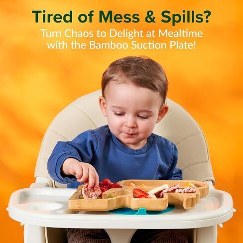 Bamboo Divided Suction Plates for Baby - Strong Suction Plates for Toddlers - Non-toxic All Natural Eco Friendly Materials - Digger in Saudi Arabia
