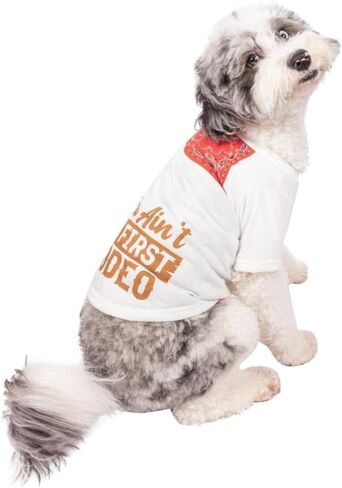 Wrangler Not My First Rodeo Ivory Dog Tee Ivory XS in Saudi Arabia