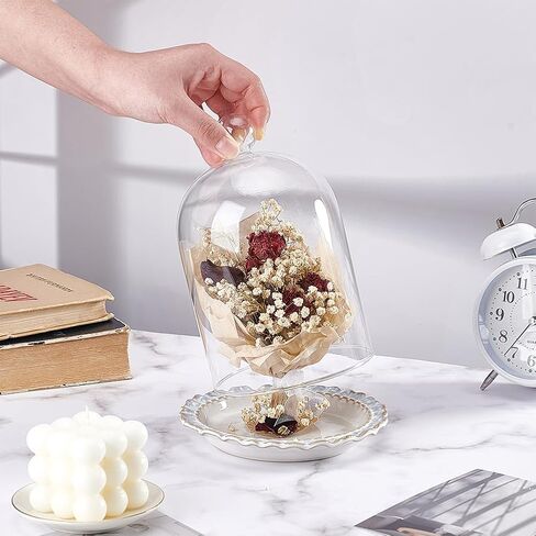 Benecreat 6x6inch غطاء زجاجي شفاف ، غطاء قبة Cloche Dome Glass ، غطاء عرض مزخرف للنباتات أو الأضواء الخيالية أو ديكور الطاولة in Saudi Arabia