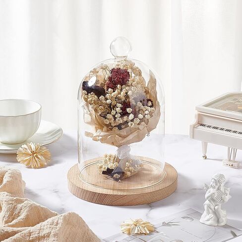 Benecreat 6x6inch غطاء زجاجي شفاف ، غطاء قبة Cloche Dome Glass ، غطاء عرض مزخرف للنباتات أو الأضواء الخيالية أو ديكور الطاولة in Saudi Arabia
