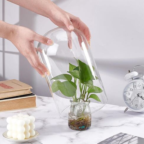 BENECREAT 6x6inch Clear Glass Cover, Cloche Dome Glass Dome Cover, Decorative Display Cover for Plants, Fairy Lights or Table Decor in Kuwait