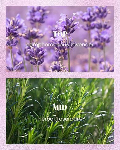 M&SENSE Lavender Rosemary Scented Candles, Vegan Soy Candles, Heavy Scented, 10oz 42-Hour Slow Burning Time, Toxic Free Winter Bathtub Aromatherapy Relaxing Spa, Fancy Gift for Home Decor in Saudi Arabia