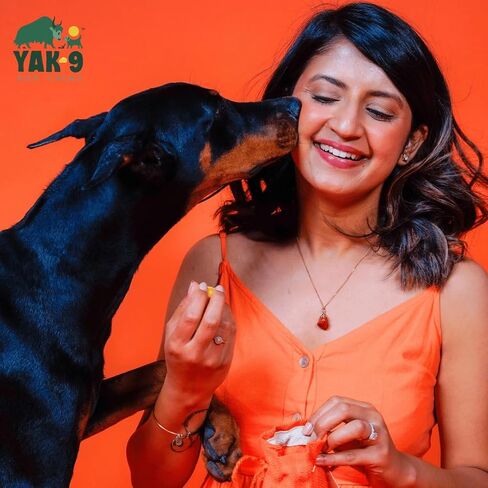 Yak9 - Coconut Yak Chews for Dogs - Small 4 oz. - All Natural with Limited Ingredients, high Protein Dog Treat, raw Hide Alternative, Long Lasting Dog chew in Kuwait