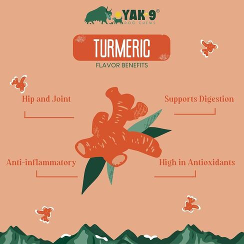 Yak9 - Coconut Yak Chews for Dogs - Small 4 oz. - All Natural with Limited Ingredients, high Protein Dog Treat, raw Hide Alternative, Long Lasting Dog chew in Kuwait