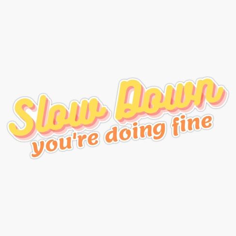 Slow Down You're Doing Fine Sticker Vinyl Waterproof Sticker Decal Car Laptop Wall Window Bumper Sticker 5" in Saudi Arabia