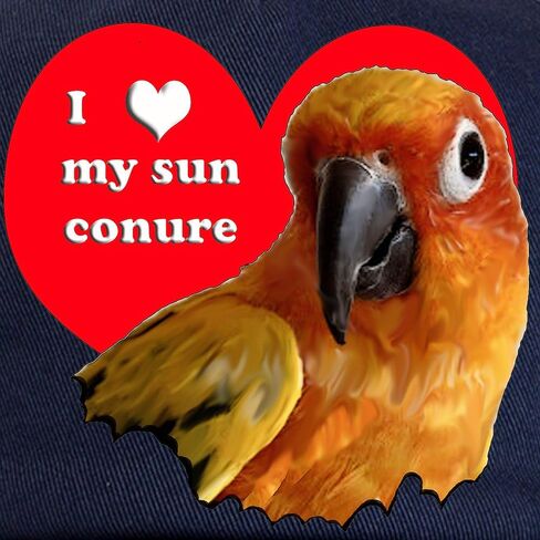 CafePress Sun Conure Love Cap Adjustable Baseball Cap in Saudi Arabia