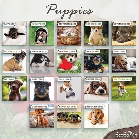 EcoEarth - Biodegradable 11x22 Inch (Open) 12-Month Vertical Hanging Wall Calendar - 2025 Monthly Calendar - Cute Puppies in Kuwait