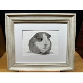 Guinea Pig Graphite Pencil Art Sketch Drawing Print Picture Limited Edition ~ Titled 'Fuzz Ball' by David Allen (8x10 Mat & Print Only) in Saudi Arabia