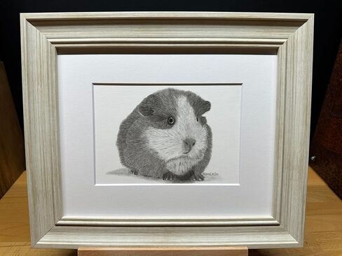 غينيا خنزير الجرافيت فني رسم رسم رسم طباعة صورة محدودة ~ بعنوان "Fuzz Ball" بقلم David Allen (8x10 Mat & Print Only) in Saudi Arabia