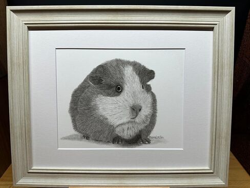 غينيا خنزير الجرافيت فني رسم رسم رسم طباعة صورة محدودة ~ بعنوان "Fuzz Ball" بقلم David Allen (8x10 Mat & Print Only) in Saudi Arabia
