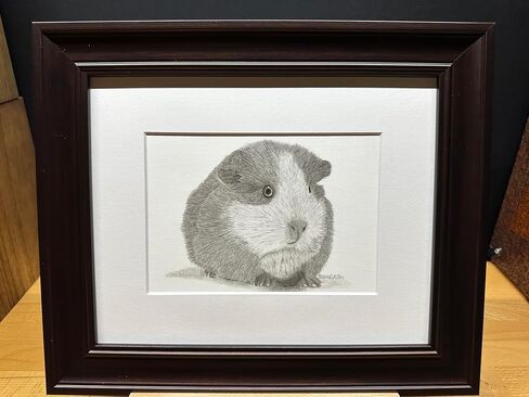 غينيا خنزير الجرافيت فني رسم رسم رسم طباعة صورة محدودة ~ بعنوان "Fuzz Ball" بقلم David Allen (8x10 Mat & Print Only) in Saudi Arabia