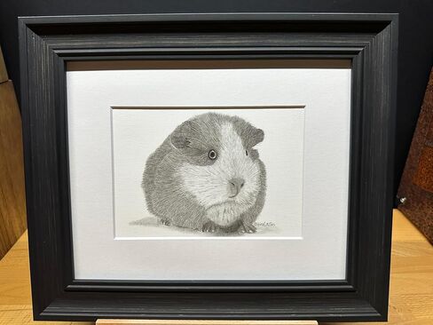 غينيا خنزير الجرافيت فني رسم رسم رسم طباعة صورة محدودة ~ بعنوان "Fuzz Ball" بقلم David Allen (8x10 Mat & Print Only) in Saudi Arabia