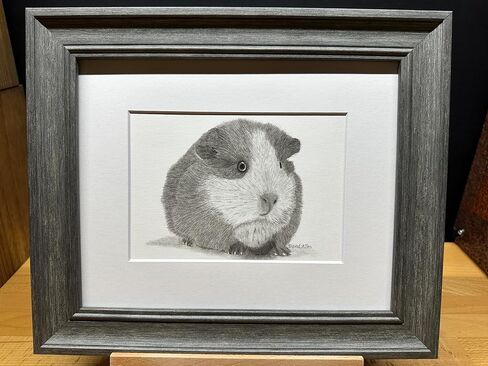 غينيا خنزير الجرافيت فني رسم رسم رسم طباعة صورة محدودة ~ بعنوان "Fuzz Ball" بقلم David Allen (8x10 Mat & Print Only) in Saudi Arabia