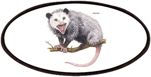 تصحيح بقع حيوانات Cafepress Opossum Possum ، تصحيح نبيذ جديد 4x2in in Saudi Arabia