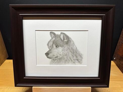 Gray Wolf Nature Wildlife Graphite Pencil Art Sketch Drawing Print Picture Limited Edition ~ Titled 'Grey Ghost' by David Allen (11x14 Mat & Print Only) in Saudi Arabia