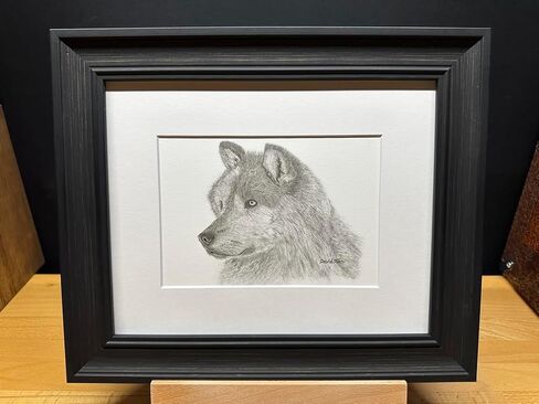 Gray Wolf Nature Wildlife Graphite Pencil Art Sketch Drawing Print Picture Limited Edition ~ Titled 'Grey Ghost' by David Allen (11x14 Mat & Print Only) in Saudi Arabia