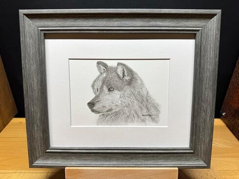 Gray Wolf Nature Wildlife Graphite Pencil Art Sketch Drawing Print Picture Limited Edition ~ Titled 'Grey Ghost' by David Allen (11x14 Mat & Print Only) in Saudi Arabia