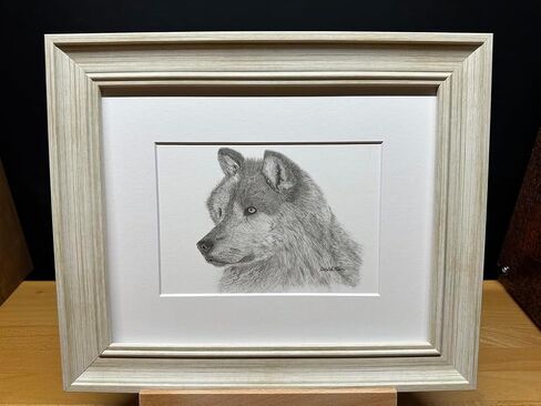 Gray Wolf Nature Wildlife Graphite Pencil Art Sketch Drawing Print Picture Limited Edition ~ Titled 'Grey Ghost' by David Allen (11x14 Mat & Print Only) in Saudi Arabia
