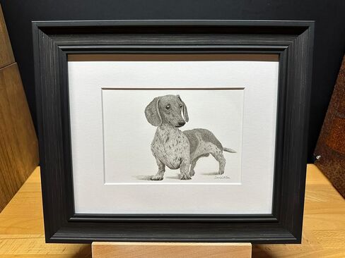 مصغرة Dachshund Dog Graphite Pencil Art Sketch رسم طباعة صورة محدودة ~ بعنوان "El'destructo!" بقلم ديفيد ألين (11x14 حصيرة وطباعة فقط) in Saudi Arabia