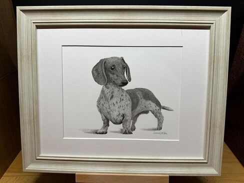مصغرة Dachshund Dog Graphite Pencil Art Sketch رسم طباعة صورة محدودة ~ بعنوان "El'destructo!" بقلم ديفيد ألين (11x14 حصيرة وطباعة فقط) in Saudi Arabia