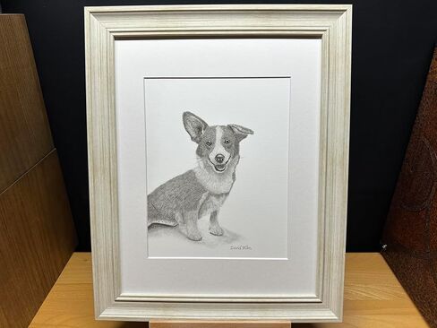 Corgi Dog Graphite Pencil Art Sketch Drawing Print Picture Limited Edition ~ Titled 'Queen's Guardian' by David Allen (11x14 Mat & Print Only) in Saudi Arabia