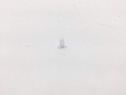 BMW Circlip: 519590 in Kuwait