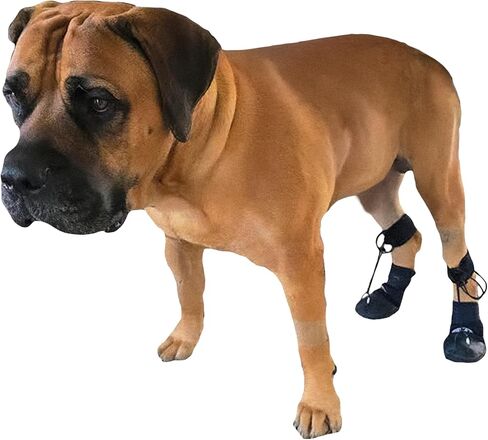 WALKABOUT™ Toe'sUP No Knuckling Boot Brace for Dogs Dragging Paws | Corrective Dog Shoes to Safely Lift Toes in Kuwait