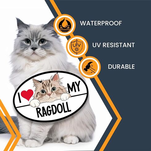 المغناطيس لي حتى أحب بلدي المغناطيس Cat Cat Ragdoll ، 4 × 6 بوصات ، القطط اللطيفة اللطيفة ، من أجل الوفير ، الثلاجة ، الخزائن ، شارات هادئة وهادئة ومغناطيسية ، هدايا محب للحيوانات الأليفة ، مصنوعة في الولايات المتحدة الأمريكية in Kuwait