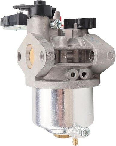 595318 Carburetor for 798523 84004885 13H132-0110-B8 13H132-0117-B8 13H132-0118-B8 13H132-0119-B8 13H132-0123-B8 13H132-4119-H8 in Kuwait
