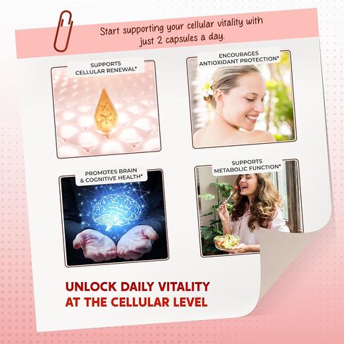 فيسيتين ريسفيراترول كيرسيتين إلدربيري، إشنسا أشواغاندا، كركم، زنجبيل - صنع في الولايات المتحدة الأمريكية in Kuwait