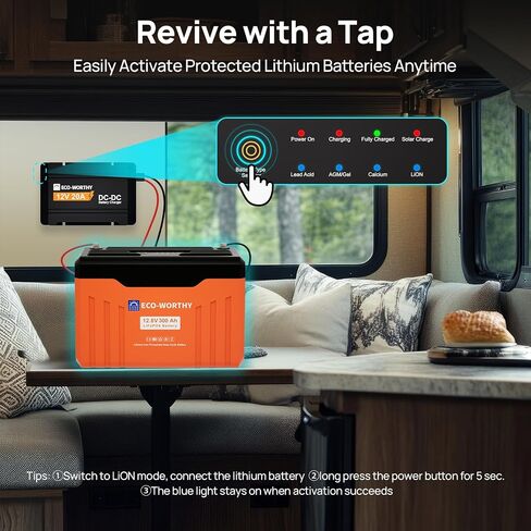 ECO-WORTHY 12V 20A DC to DC Battery Charger with MPPT, Dual Input On-Board Battery Charger for Lead-Acid, LiFePO4 Battery, 16.4FT Cable for Switch Panel for RVs, Vehicles, Boats Solar System in Saudi Arabia