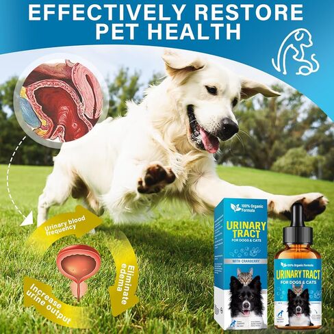قطرات علاج التهاب المسالك البولية للحيوانات الأليفة، دواء التهاب المسالك البولية للقطط، علاج التهاب المسالك البولية للكلاب لصحة الكلى، تركيبة طبيعية لمنع حصوات الكلى وسلس البول، دعم التحكم في المثانة للكلاب والقطط 60 مل in Kuwait