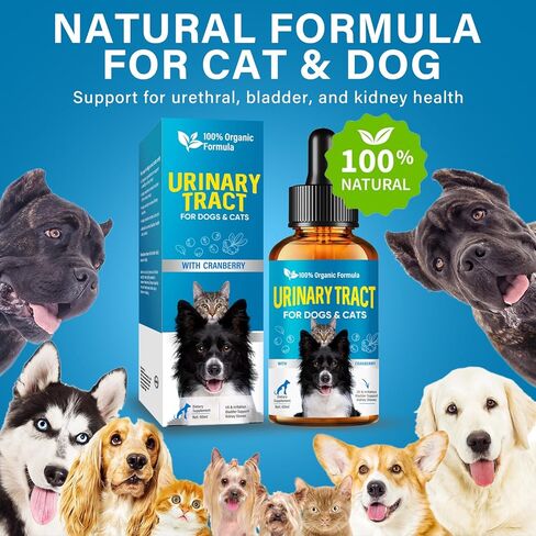 قطرات علاج التهاب المسالك البولية للحيوانات الأليفة، دواء التهاب المسالك البولية للقطط، علاج التهاب المسالك البولية للكلاب لصحة الكلى، تركيبة طبيعية لمنع حصوات الكلى وسلس البول، دعم التحكم في المثانة للكلاب والقطط 60 مل in Kuwait