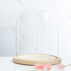 Glass Dome Diameter 7", Decorative Glass Cloche Bell Jar Display Dome, Dust Proof Glass Display Dome with Solid Wood Base Office Home Desktop Ornament Decoration in Saudi Arabia