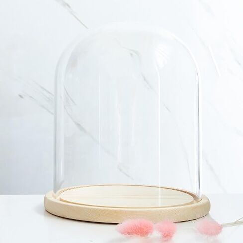 قطر القبة الزجاجية 7 "، الزجاج الزجاجي cloche bell jar display ، قبة زجاجية in Saudi Arabia
