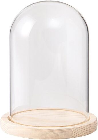 قطر القبة الزجاجية 7 "، الزجاج الزجاجي cloche bell jar display ، قبة زجاجية in Saudi Arabia