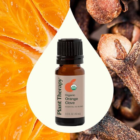 Plant Therapy Organic Orange Clove Essential Oil Blend 10 mL (1/3 oz) Bright, Bold, and Naturally Energizing, Great Addition to DIY Household Cleaners, Naturally Freshens The Air with Citrus & Spice in Saudi Arabia