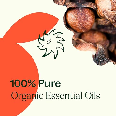 Plant Therapy Organic Orange Clove Essential Oil Blend 10 mL (1/3 oz) Bright, Bold, and Naturally Energizing, Great Addition to DIY Household Cleaners, Naturally Freshens The Air with Citrus & Spice in Saudi Arabia