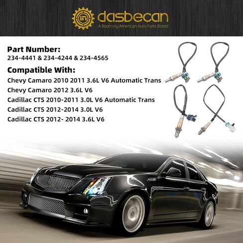 Dasbecan Oxygen Sensor 234-4441 234-4244 234-4565 4PCS Compatible with 2010 2011 2012 2013 2014 Chevy Camaro 3.6L V6 Auto Trans, Cadillac CTS 3.0L, Upstream & Downstream in Saudi Arabia