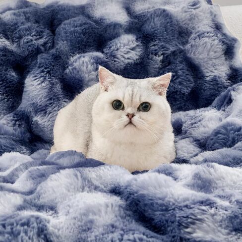 غطاء كرسي فرو فو ، حصيرة أريكة مقاومة للماء لوقاية مقعد السيارة ، حصيرة أليف صوتية للتبول للكلب الصغير أو القطة ، قابلة للغسل ، مضادة للانزلاق ، قابلة للانعكاس ، 23.5 × 23.5 بوصة ، كريمة in Kuwait