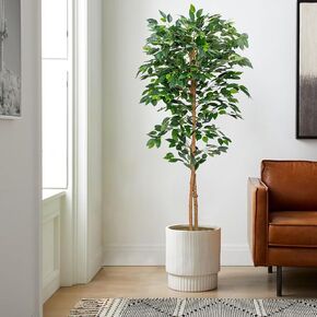 أشجار الزيتون الاصطناعية النباتات المصطنعة النباتات المزيفة المزيفة الأشجار الاصطناعية مع أوراق الحرير وعاء الحضانة ، والنباتات المزيفة لديكور المنزل (شجرة ficus ، 5ft-1pack) in Kuwait