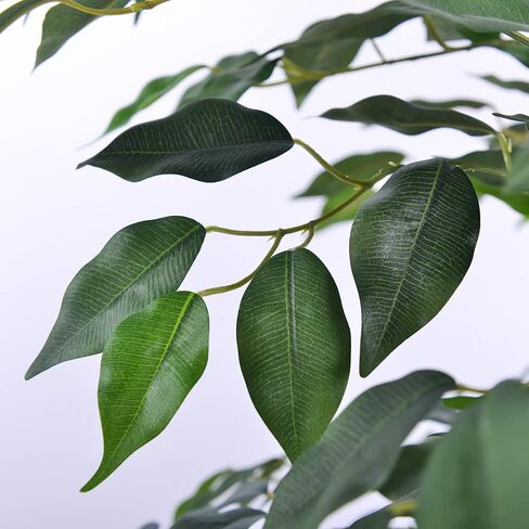 أشجار الزيتون الاصطناعية النباتات المصطنعة النباتات المزيفة المزيفة الأشجار الاصطناعية مع أوراق الحرير وعاء الحضانة ، والنباتات المزيفة لديكور المنزل (شجرة ficus ، 5ft-1pack) in Kuwait