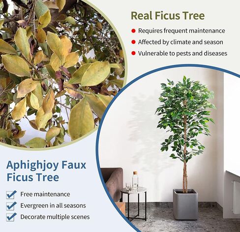 أشجار الزيتون الاصطناعية النباتات المصطنعة النباتات المزيفة المزيفة الأشجار الاصطناعية مع أوراق الحرير وعاء الحضانة ، والنباتات المزيفة لديكور المنزل (شجرة ficus ، 5ft-1pack) in Kuwait