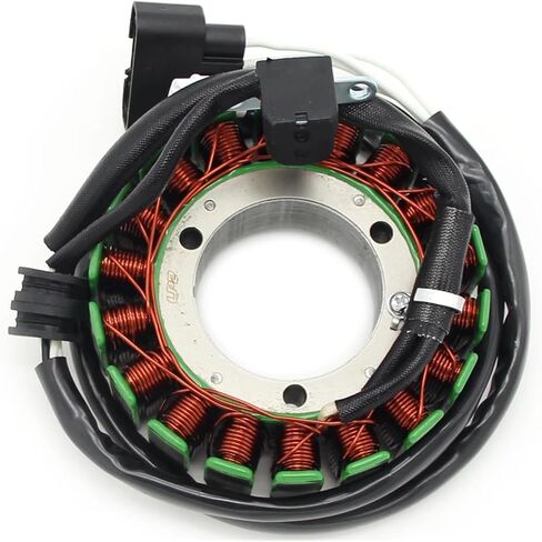 Motorcycle Magneto Engines Stator Coil for Apex Attak GT RX-1 RX Warrior 1000 8FA-81410-00 8FP-81410-02 8FP-81410-00 in Saudi Arabia